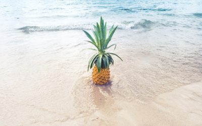 Ideas For Your Next Beach Themed Party